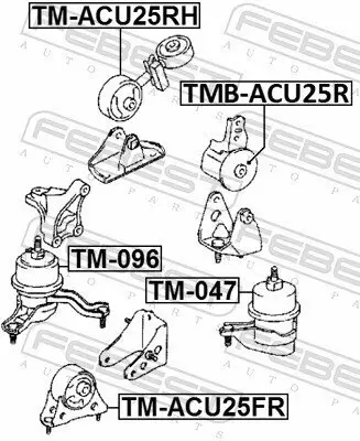 Lagerung, Motor vorne rechts FEBEST TM-ACU25RH Bild Lagerung, Motor vorne rechts FEBEST TM-ACU25RH