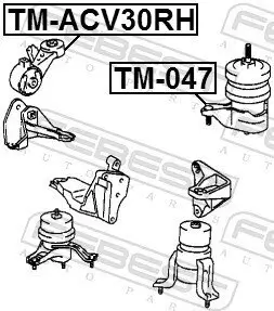 Lagerung, Motor FEBEST TM-ACV30RH Bild Lagerung, Motor FEBEST TM-ACV30RH