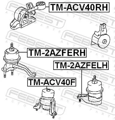Lagerung, Motor vorne rechts FEBEST TM-ACV40RH Bild Lagerung, Motor vorne rechts FEBEST TM-ACV40RH