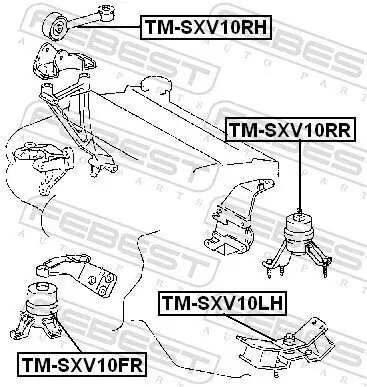 Lagerung, Motor hinten FEBEST TM-SXV10RR Bild Lagerung, Motor hinten FEBEST TM-SXV10RR