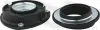 Federbeinstützlager Vorderachse FEBEST VWSS-B8F-KIT Bild Federbeinstützlager Vorderachse FEBEST VWSS-B8F-KIT