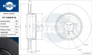 Bremsscheibe Hinterachse ROTINGER RT 71004HP-GL