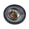 Thermostat, Kühlmittel OSSCA 27379
