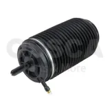 Luftfeder, Fahrwerk hinten links OSSCA 66248