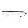 Gasfeder, Koffer-/Laderaum links OSSCA 83192