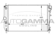 Kühler, Motorkühlung AUTOGAMMA 102131