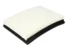 Luftfilter JC PREMIUM B21081PR Bild Luftfilter JC PREMIUM B21081PR