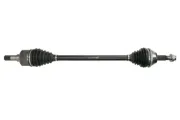 Antriebswelle Hinterachse beidseitig PASCAL G2C183PC