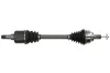 Antriebswelle Vorderachse links PASCAL G2G032PC