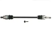 Antriebswelle Hinterachse beidseitig PASCAL G2V046PC