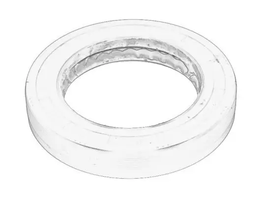 Wellendichtring, Differential hinten BTA B04-IV0002