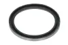 Spannarm, Keilrippenriemen BTA E24013BTA