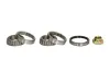 Radlagersatz links rechts Vorderachse BTA H13014BTA