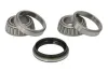 Radlagersatz Hinterachse links rechts BTA H25003BTA