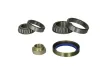 Radlagersatz Hinterachse BTA H2C039BTA