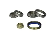 Radlagersatz Hinterachse BTA H2C039BTA