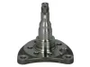 Achszapfen, Achskörper Hinterachse links BTA H5W007BTA Bild Achszapfen, Achskörper Hinterachse links BTA H5W007BTA
