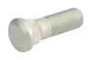 Radbolzen hinten BTA H60002BTA