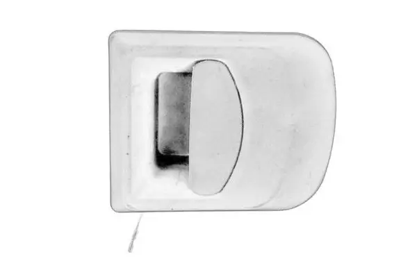 Türaußengriff vorne links PACOL IVE-DH-0019