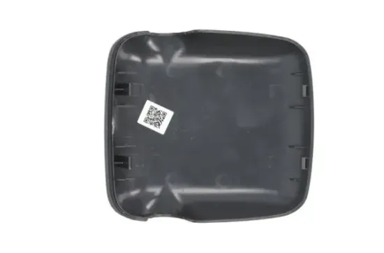 Gehäuse, Außenspiegel links PACOL MAN-MR-043L Bild Gehäuse, Außenspiegel links PACOL MAN-MR-043L