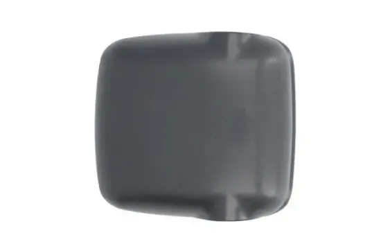 Gehäuse, Außenspiegel links PACOL MAN-MR-043L Bild Gehäuse, Außenspiegel links PACOL MAN-MR-043L