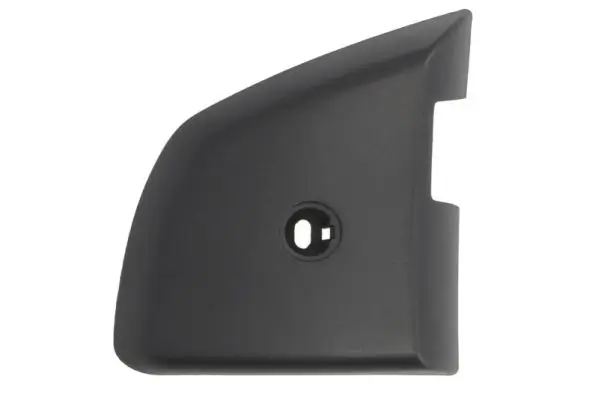 Gehäuse, Außenspiegel links PACOL MAN-MR-050L