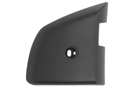 Gehäuse, Außenspiegel links PACOL MAN-MR-050L Bild Gehäuse, Außenspiegel links PACOL MAN-MR-050L