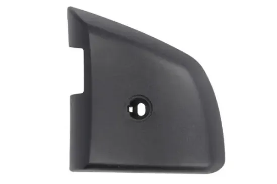 Gehäuse, Außenspiegel rechts PACOL MAN-MR-050R Bild Gehäuse, Außenspiegel rechts PACOL MAN-MR-050R