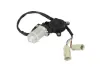 Elektromotor, Fensterheber vorne PACOL MAN-WR-006 Bild Elektromotor, Fensterheber vorne PACOL MAN-WR-006