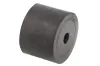 Halter, Kühlergitter PACOL VA-AG-002 Bild Halter, Kühlergitter PACOL VA-AG-002