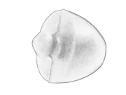 Anschlagpuffer, Federung vorne S-TR STR-1201246