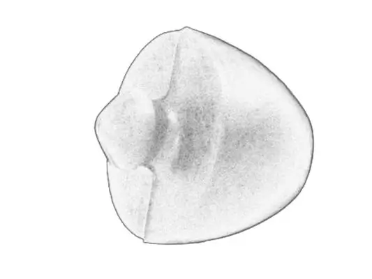 Anschlagpuffer, Federung vorne S-TR STR-1201246 Bild Anschlagpuffer, Federung vorne S-TR STR-1201246