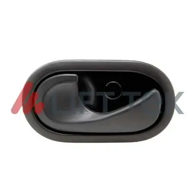 Türgriff, Innenausstattung vorne links LIFT-TEK LT60170