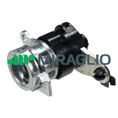 Türaußengriff Fahrzeughecktür MIRAGLIO 80/902