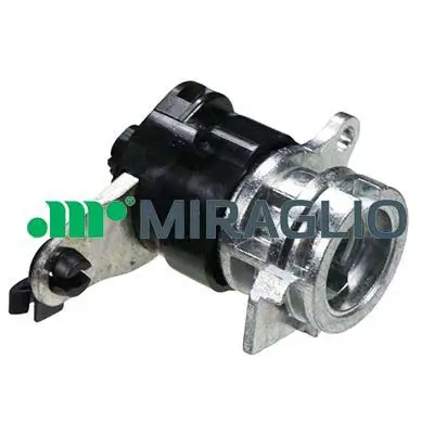 Türaußengriff vorne links vorne rechts MIRAGLIO 80/903 Bild Türaußengriff vorne links vorne rechts MIRAGLIO 80/903