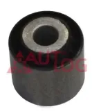 Lagerung, Lenker Hinterachse AUTLOG FT2160