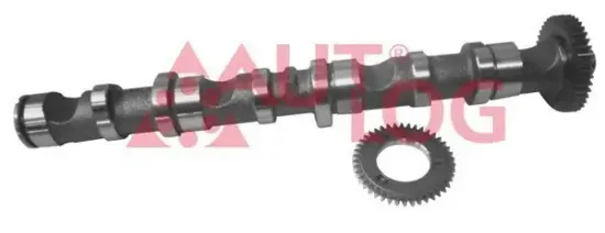 Nockenwelle Auslassseite für Zylinder 1-3 AUTLOG NW5023 Bild Nockenwelle Auslassseite für Zylinder 1-3 AUTLOG NW5023