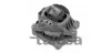 Lagerung, Motor rechts TALOSA 61-15526
