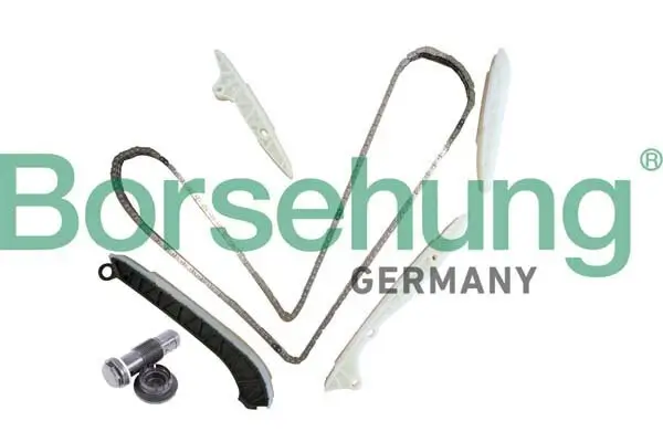 Steuerkettensatz Borsehung B10238