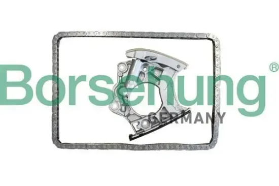 Steuerkettensatz Borsehung B10244 Bild Steuerkettensatz Borsehung B10244