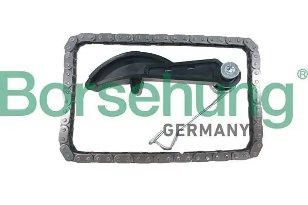 Steuerkettensatz Borsehung B10251