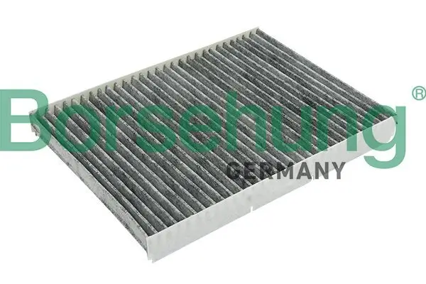 Filter, Innenraumluft Borsehung B12796