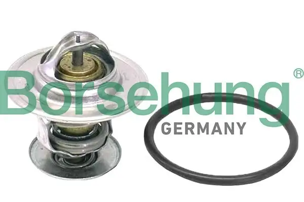 Thermostat, Kühlmittel Borsehung B18262