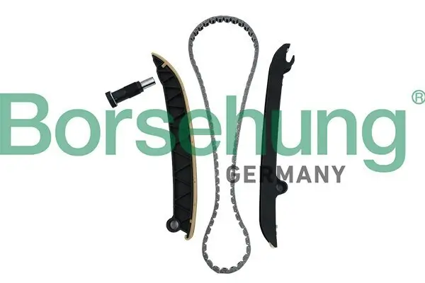 Steuerkettensatz Borsehung B18296