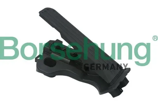 Fahrpedalsatz Borsehung B18726 Bild Fahrpedalsatz Borsehung B18726