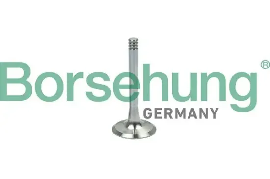 Auslassventil Borsehung B19002 Bild Auslassventil Borsehung B19002