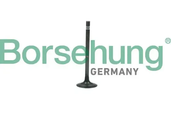 Auslassventil Borsehung B19006 Bild Auslassventil Borsehung B19006