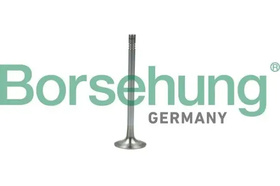 Auslassventil Borsehung B19007 Bild Auslassventil Borsehung B19007