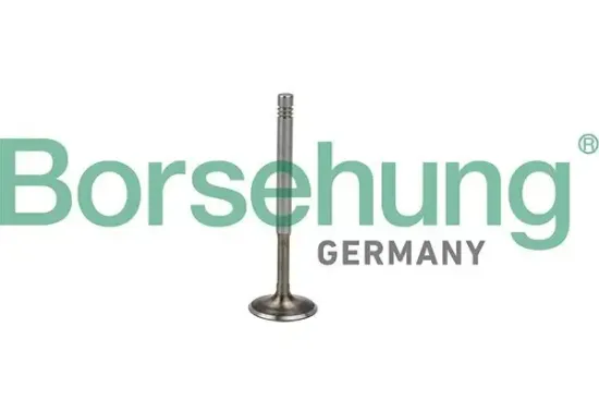 Auslassventil Borsehung B19009 Bild Auslassventil Borsehung B19009