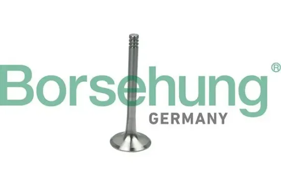 Auslassventil Borsehung B19013 Bild Auslassventil Borsehung B19013